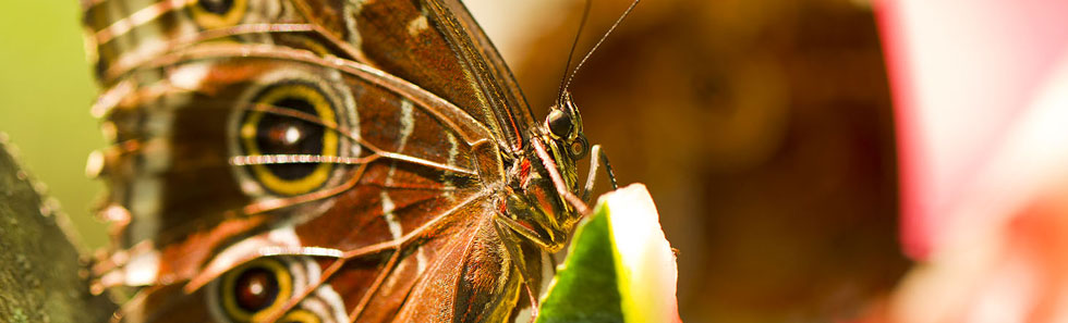 数字商店安全的在线免费试用