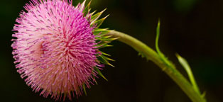 短信验证码轰炸网址免费