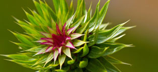 短信验证码轰炸网址免费